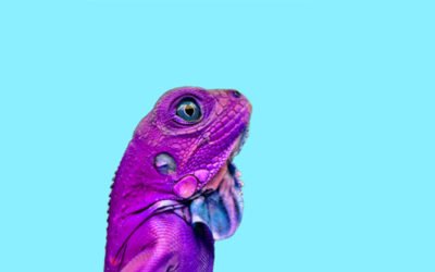 Is technology making recruitment harder?