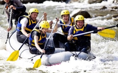 Company Culture V Team Culture — what culture type are you?